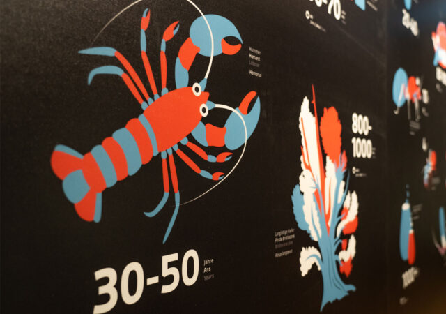 Fotos: michaelmaillard.com
Grafik: studio-ko.ch