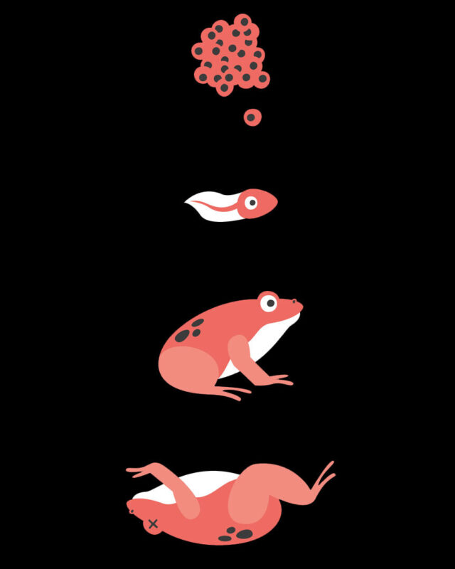 Fotos: michaelmaillard.com
Grafik: studio-ko.ch