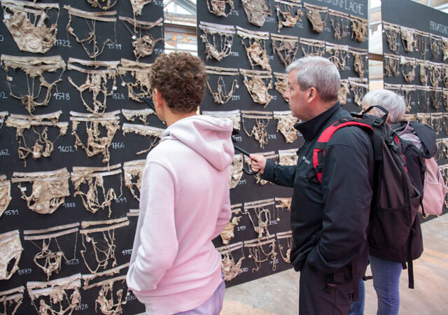 2021 Beweisstueck Unterhose 1