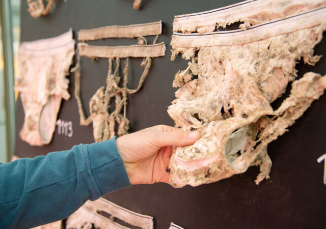 2021 Beweisstueck Unterhose 2