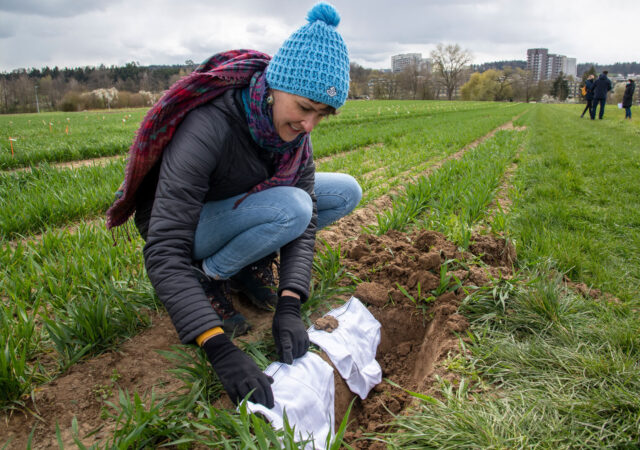 2021 Beweisstueck Unterhose 4