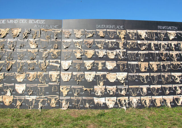 Bild einer schwarzen Wand, die auf einer grünen Wiese steht. An der Wand hängen mehr und weniger zersetze Unterhosen. Das Beweisstück Unterhose. Bild: catta