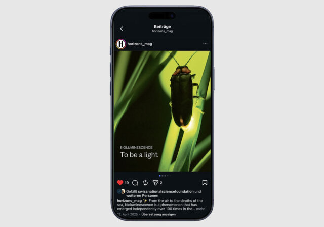 2025 Horizonte Insta 1