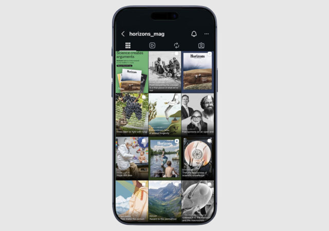 2025 Horizonte Insta 2