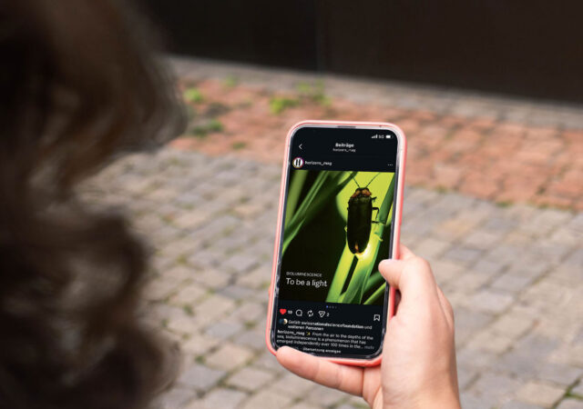 2025 Horizonte Insta 3