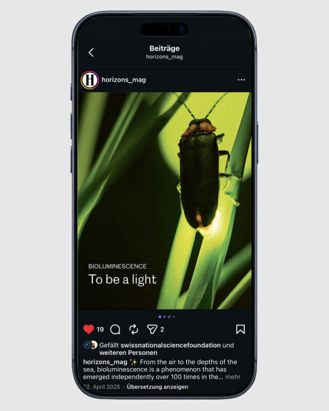 2025 Horizonte Insta card