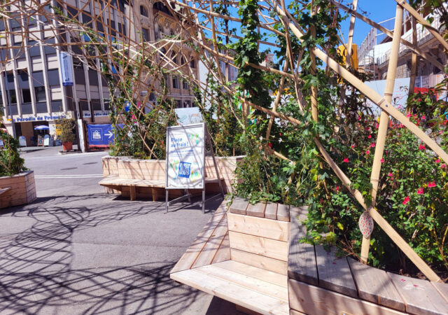 2025 palace au frais 2