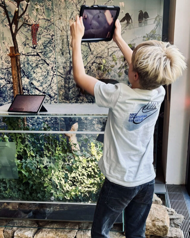 2026 rette Lumo card hoch