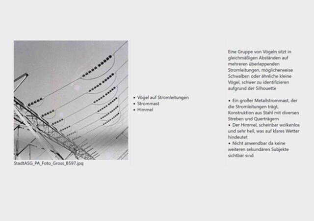 Schwarz-Weiss Foto eines Strommasten und der Stromkabel (links). Auf der rechten Seite ein 1-spaltiger Text.