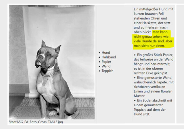 Schwarz-Weiss Foto eines Hundes, der sitzt (links). Auf der rechten Seite ein 1-spaltiger Text mit einer gelb markierten Stelle.