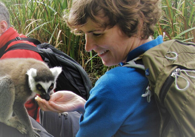 Pia Viviani hält ihr hohle Hand einem Catta hin, der daran schnuppert.