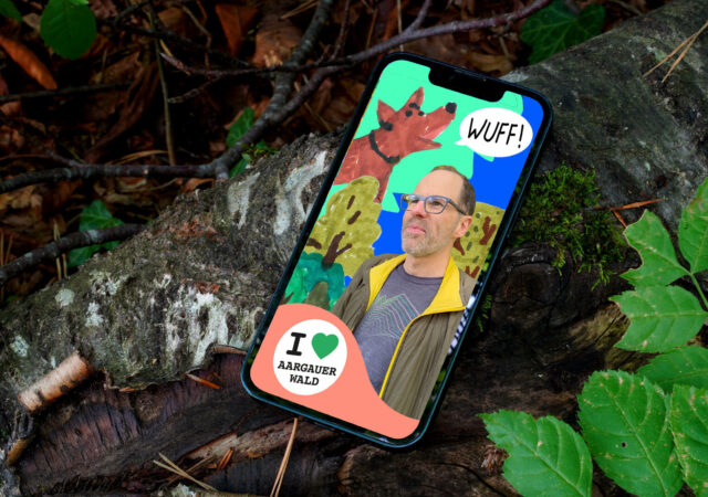 Handy Wald teaser1